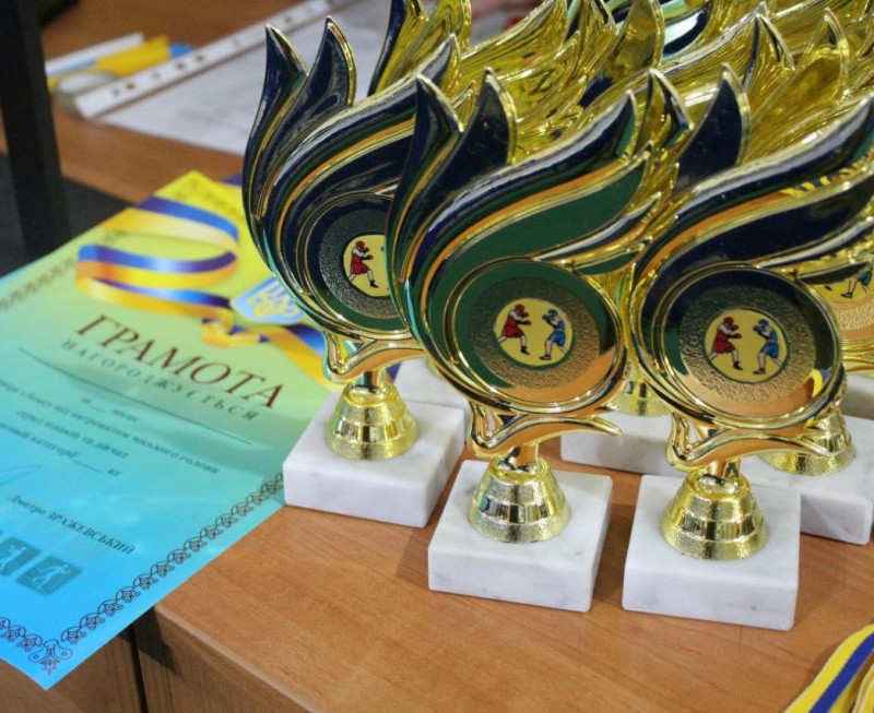 На столі - нагороди: грамота та статуетки.