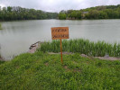 На березі водойми - табличка з написом: "Купатись заборонено".