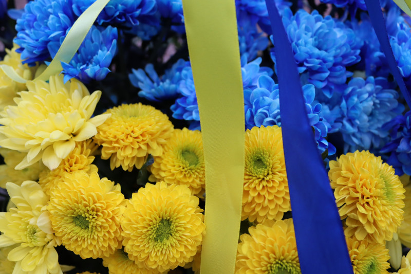 у букеті - сині та жовті хризантеми, над ними - жовта та синя стрічки
