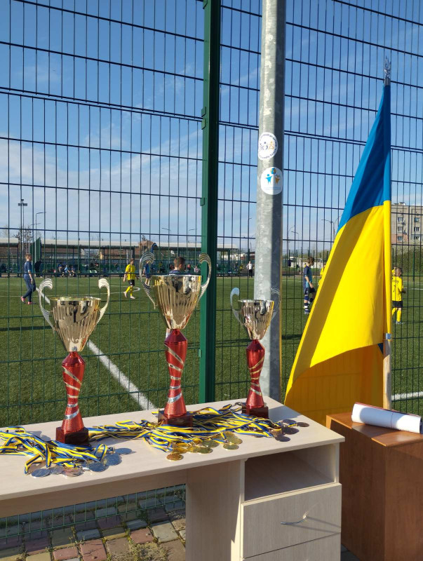 На столі - нагородний матеріал: кубки, медалі. Поряд - Державний Прапор України.