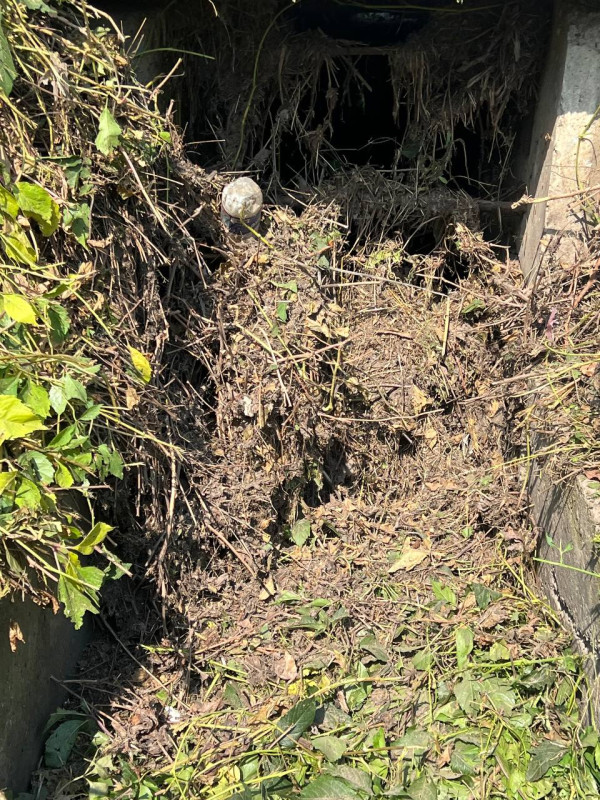 Дренажний лоток, заповнений сухою рослинністю.